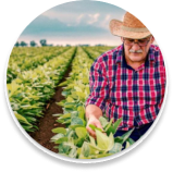imagenproductos